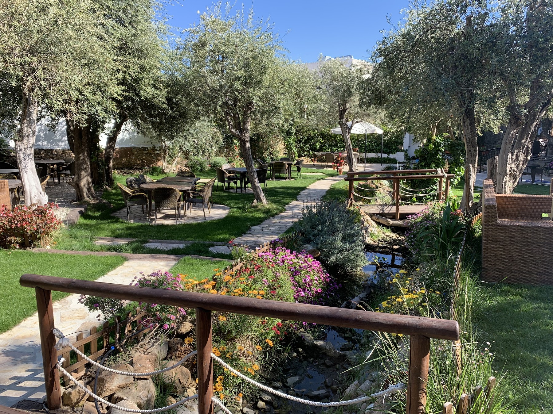 The Secret Garden huerto in bloom